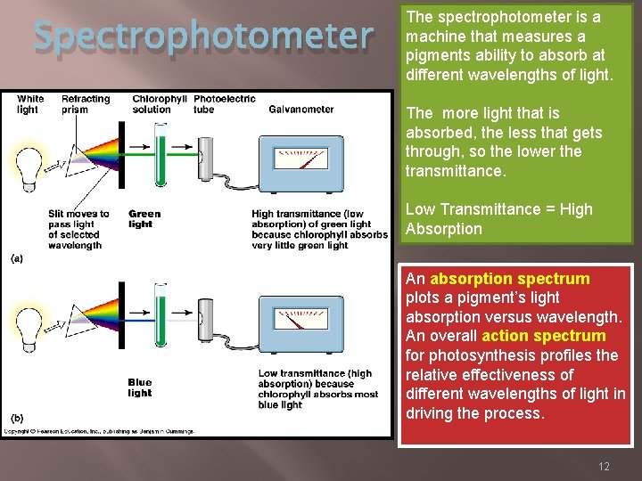 Spectrophotometer The spectrophotometer is a machine that measures a pigments ability to absorb at