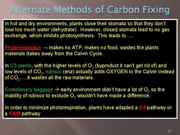 Alternate Methods of Carbon Fixing In hot and dry environments, plants close their stomata