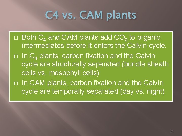 C 4 vs. CAM plants � � � Both C 4 and CAM plants