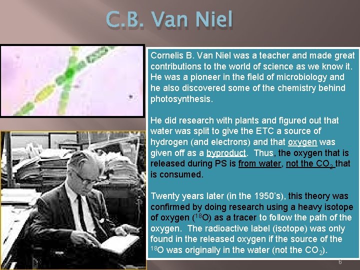 C. B. Van Niel Cornelis B. Van Niel was a teacher and made great