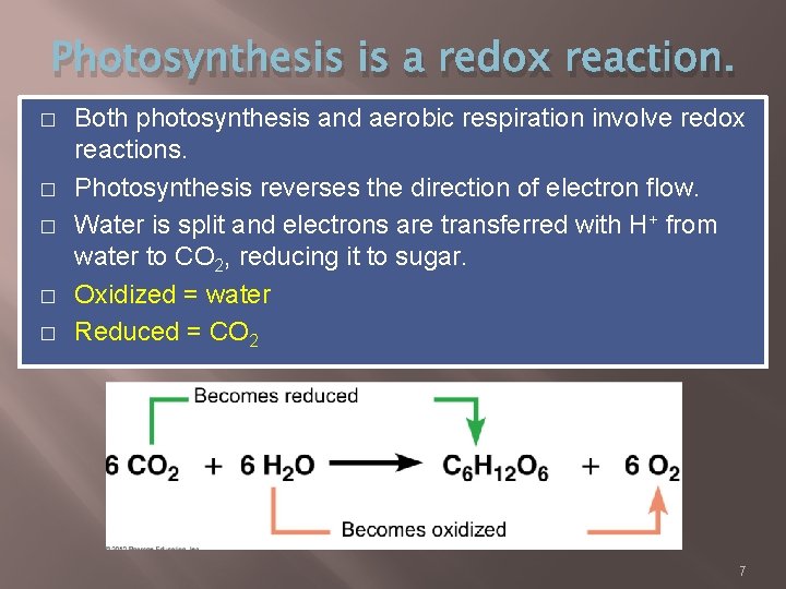 Photosynthesis is a redox reaction. � � � Both photosynthesis and aerobic respiration involve