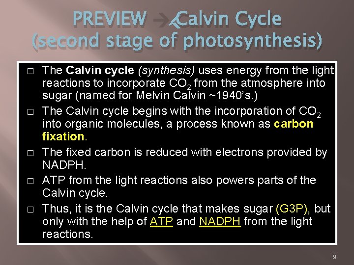 PREVIEW Calvin Cycle (second stage of photosynthesis) � � � The Calvin cycle (synthesis)