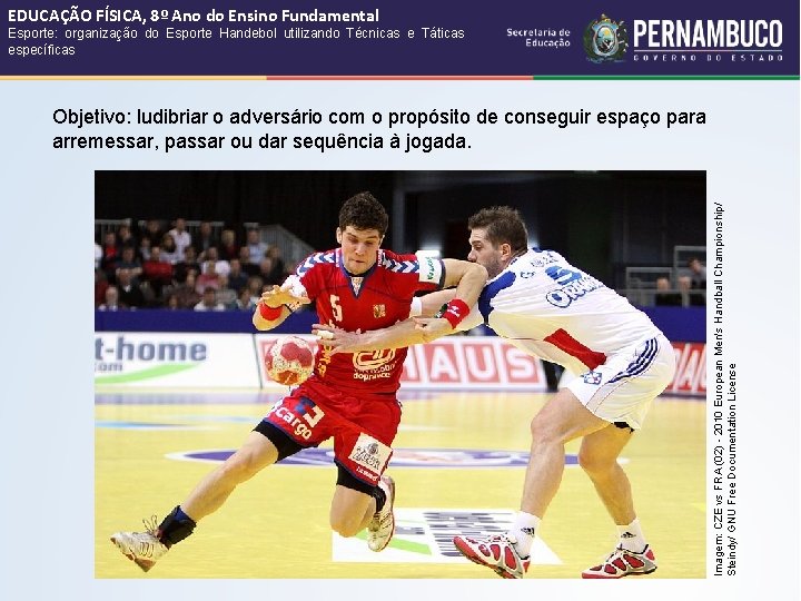 EDUCAÇÃO FÍSICA, 8º Ano do Ensino Fundamental Esporte: organização do Esporte Handebol utilizando Técnicas