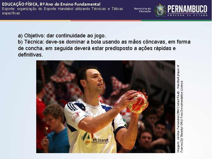 EDUCAÇÃO FÍSICA, 8º Ano do Ensino Fundamental Esporte: organização do Esporte Handebol utilizando Técnicas