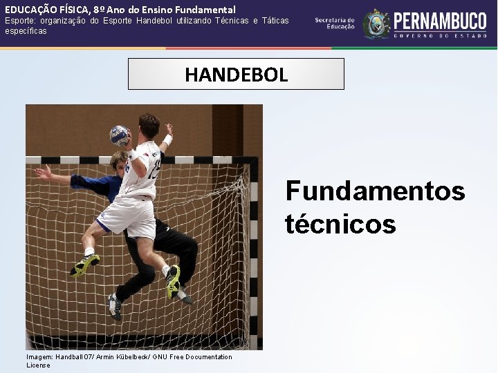 EDUCAÇÃO FÍSICA, 8º Ano do Ensino Fundamental Esporte: organização do Esporte Handebol utilizando Técnicas