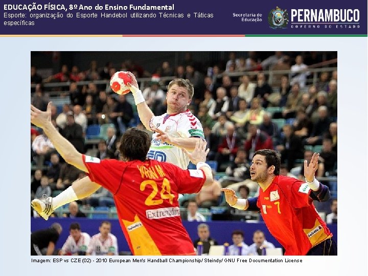 EDUCAÇÃO FÍSICA, 8º Ano do Ensino Fundamental Esporte: organização do Esporte Handebol utilizando Técnicas