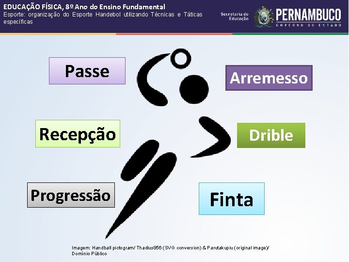 EDUCAÇÃO FÍSICA, 8º Ano do Ensino Fundamental Esporte: organização do Esporte Handebol utilizando Técnicas