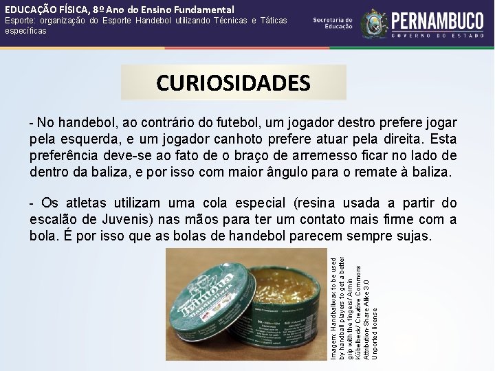 EDUCAÇÃO FÍSICA, 8º Ano do Ensino Fundamental Esporte: organização do Esporte Handebol utilizando Técnicas