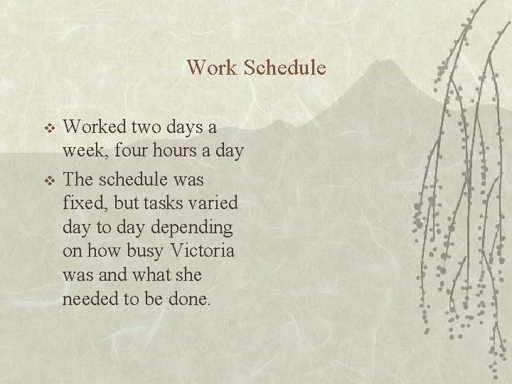 Work Schedule v v Worked two days a week, four hours a day The