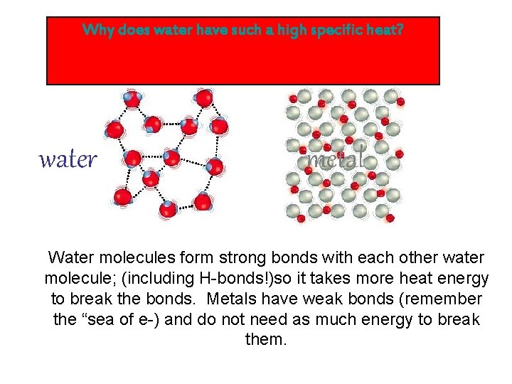 Why does water have such a high specific heat? water metal Water molecules form