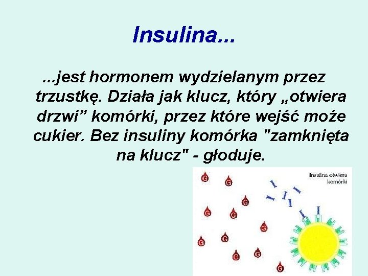 Insulina. . . jest hormonem wydzielanym przez trzustkę. Działa jak klucz, który „otwiera drzwi”