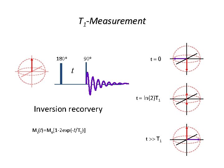 T 1 -Measurement 180 o 90 o t=0 t t = ln(2)T 1 Inversion