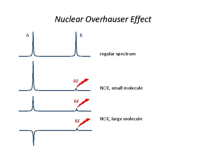 Nuclear Overhauser Effect B A regular spectrum RF NOE, small molecule RF RF NOE,