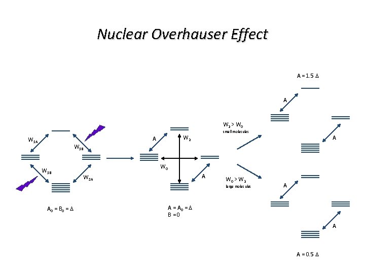 Nuclear Overhauser Effect A = 1. 5 D A W 2 > W 0