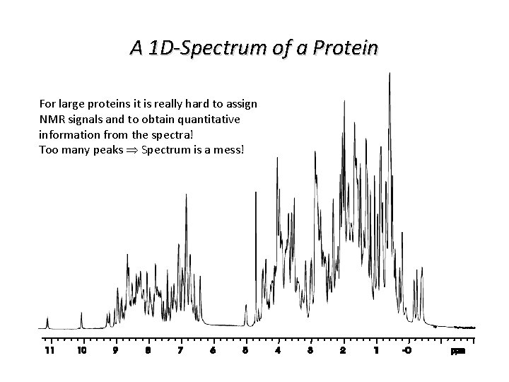 A 1 D-Spectrum of a Protein For large proteins it is really hard to