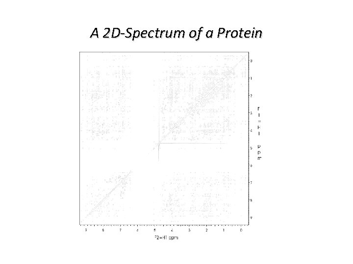 A 2 D-Spectrum of a Protein 