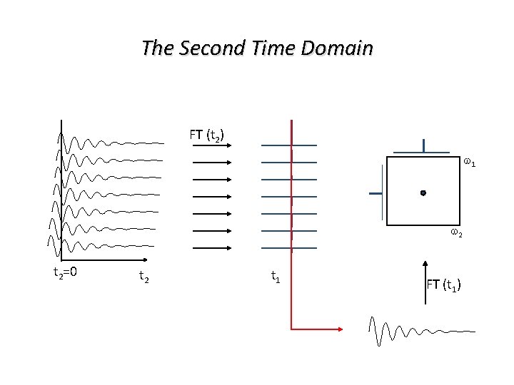 The Second Time Domain FT (t 2) w 1 w 2 t 2=0 t