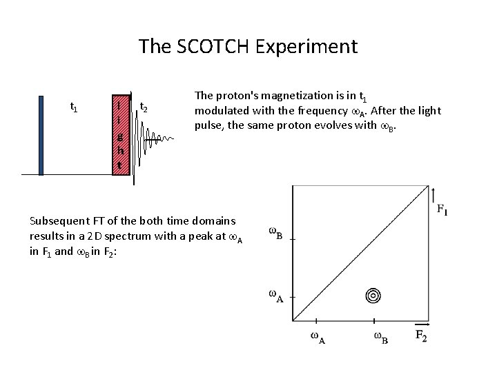 The SCOTCH Experiment t 1 l i g h t t 2 The proton's