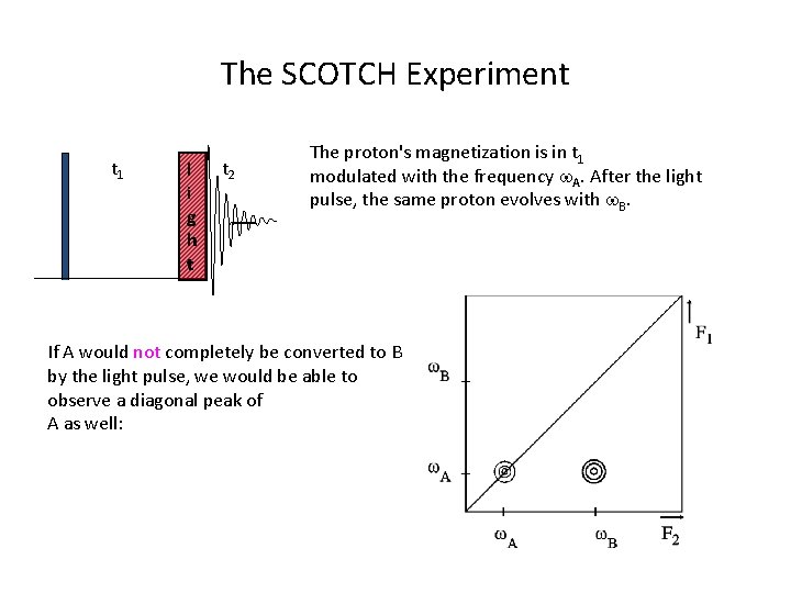 The SCOTCH Experiment t 1 l i g h t t 2 The proton's