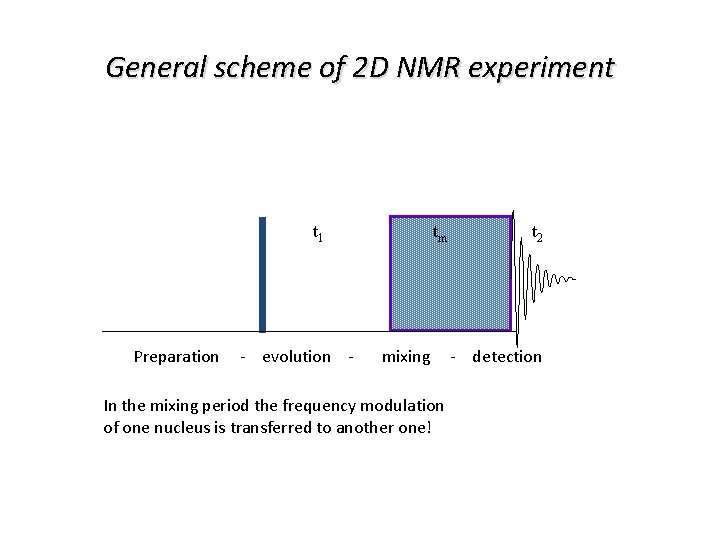 General scheme of 2 D NMR experiment t 1 tm t 2 Preparation -