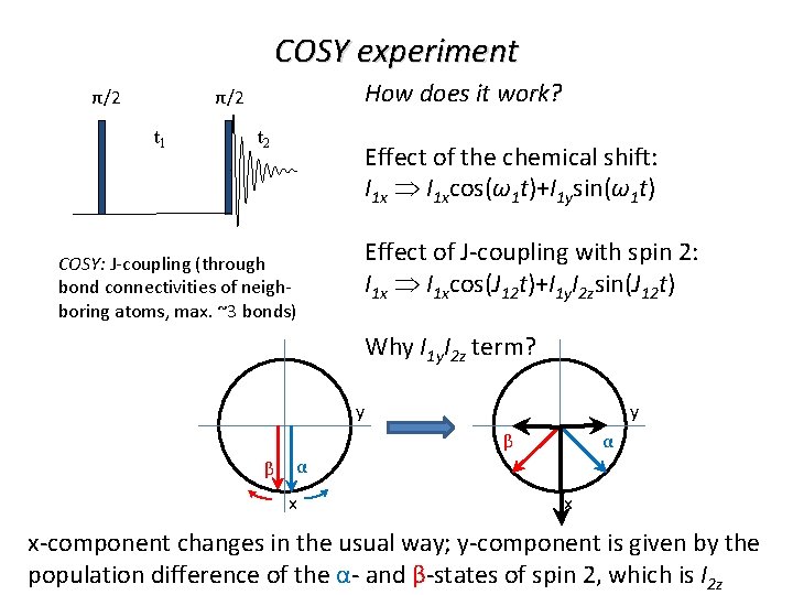 COSY experiment How does it work? π/2 π/2 t 1 t 2 Effect of