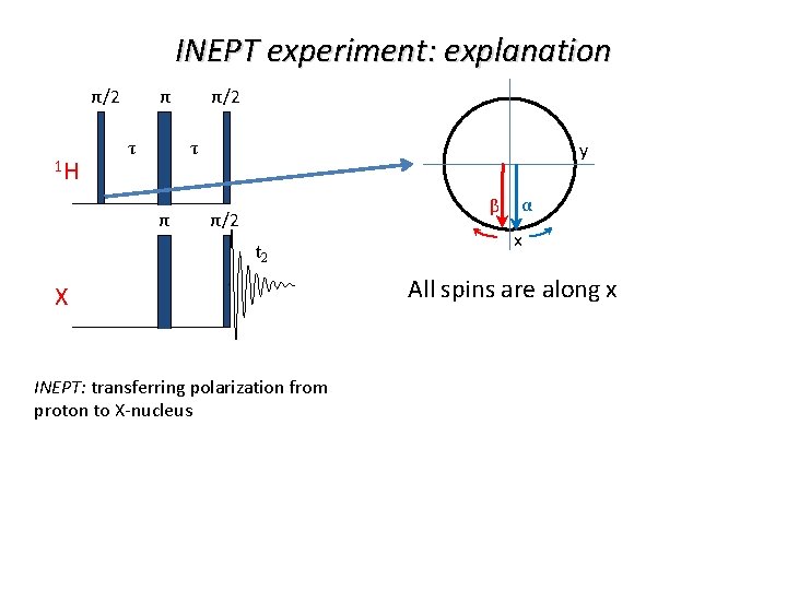 INEPT experiment: explanation π/2 1 H τ τ y β π/2 t 2 X
