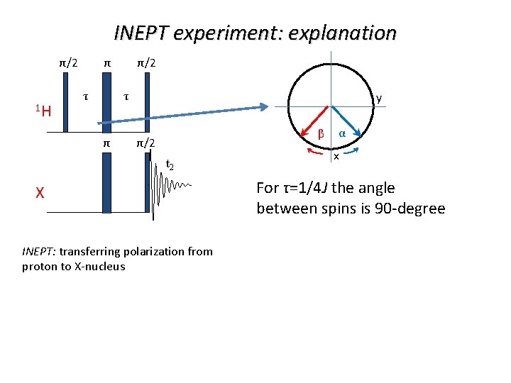 INEPT experiment: explanation π/2 1 H τ τ y β π/2 t 2 X
