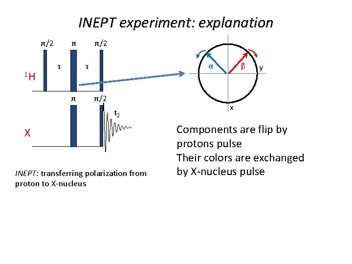 INEPT experiment: explanation π/2 1 H τ α τ π/2 t 2 X INEPT: