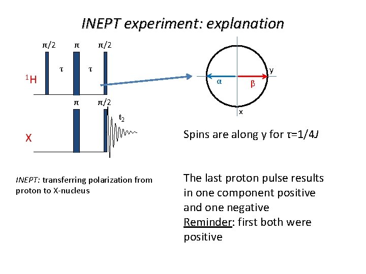 INEPT experiment: explanation π/2 1 H τ τ y α π/2 t 2 X