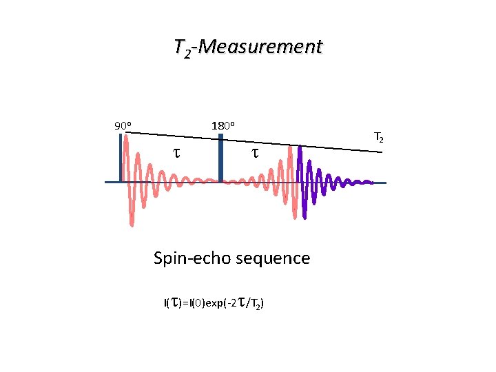 T 2 -Measurement 90 o 180 o t t Spin-echo sequence I(t)=I(0)exp(-2 t/T 2)