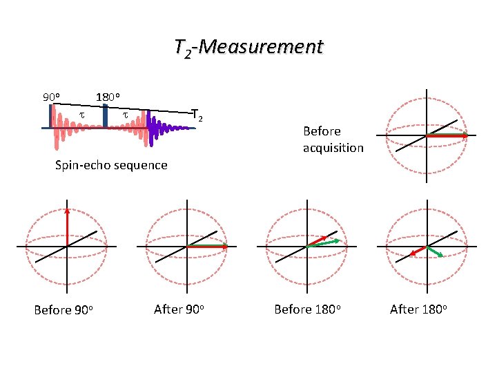 T 2 -Measurement 90 o 180 o t T 2 t Before acquisition Spin-echo