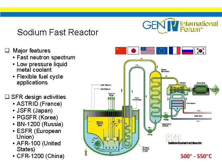 Sodium Fast Reactor q Major features • Fast neutron spectrum • Low pressure liquid