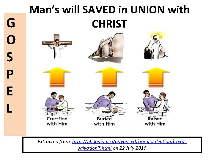 G O S P E L Man’s will SAVED in UNION with CHRIST Extracted