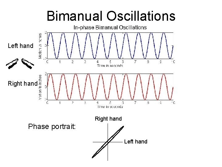 Bimanual Oscillations Left hand Right hand Phase portrait: Left hand 