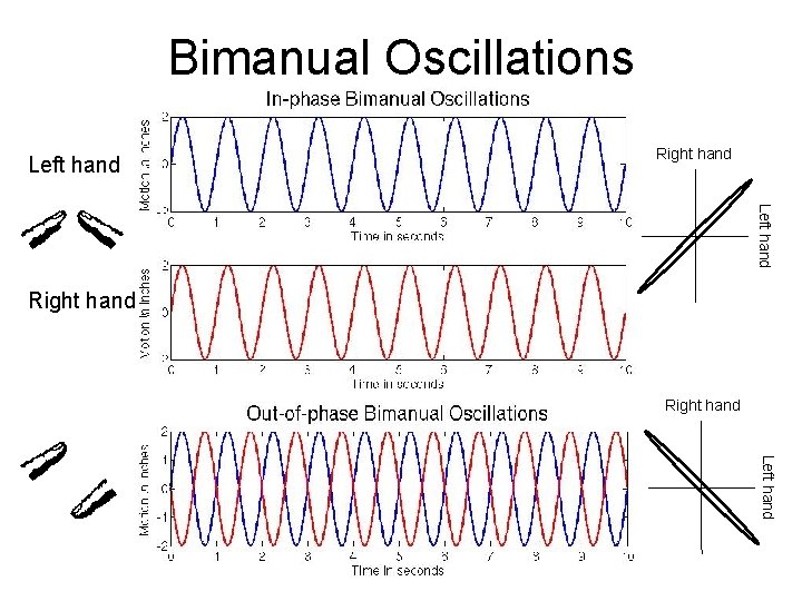 Bimanual Oscillations Left hand Right hand Left hand 