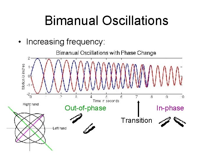 Bimanual Oscillations • Increasing frequency: Out-of-phase In-phase Transition 