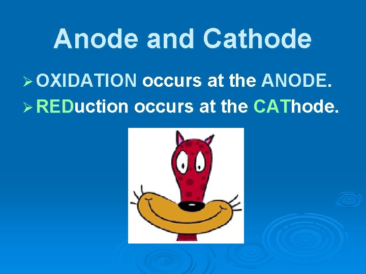 Anode and Cathode Ø OXIDATION occurs at the ANODE. Ø REDuction occurs at the Anode and Cathode Ø OXIDATION occurs at the ANODE. Ø REDuction occurs at the