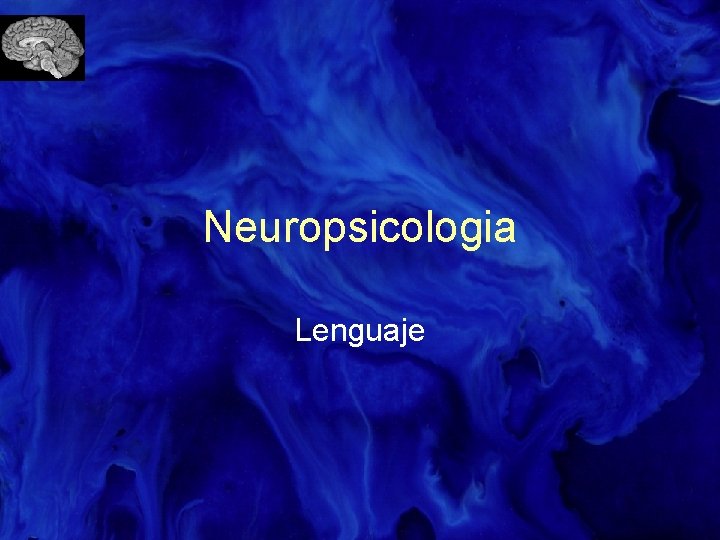 Neuropsicologia Lenguaje 