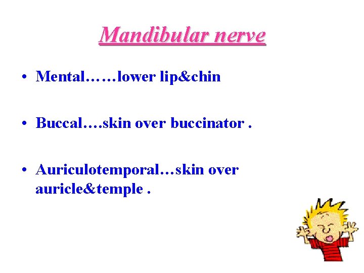 Mandibular nerve • Mental……lower lip&chin • Buccal…. skin over buccinator. • Auriculotemporal…skin over auricle&temple.