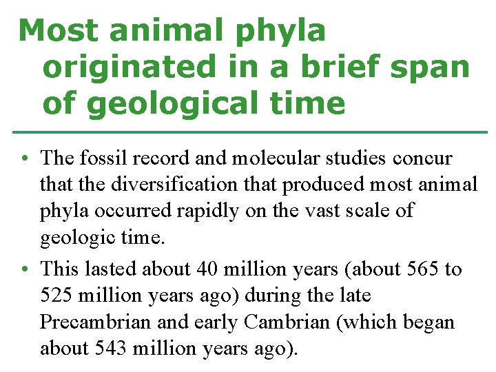 Most animal phyla originated in a brief span of geological time • The fossil