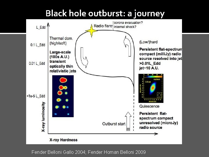 Black hole outburst: a journey Fender Belloni Gallo 2004; Fender Homan Belloni 2009 