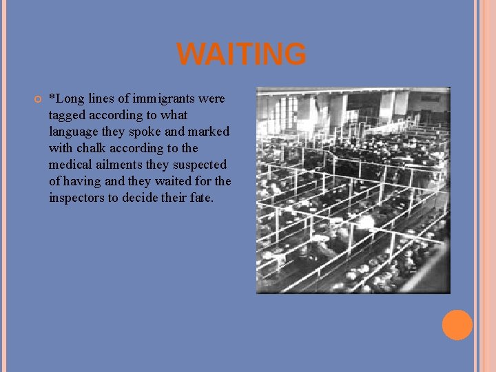 WAITING *Long lines of immigrants were tagged according to what language they spoke and