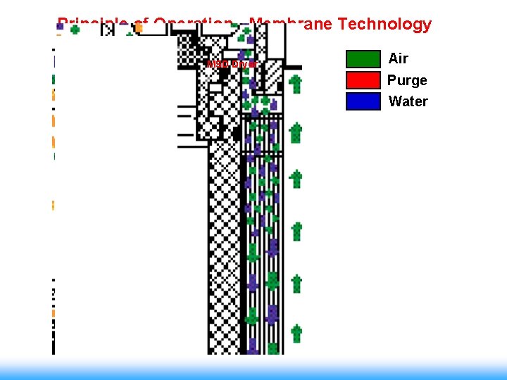 Principle of Operation - Membrane Technology MSD Dryer Air Purge Water 