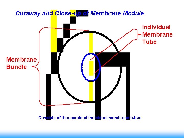 Cutaway and Close-up of Membrane Module Individual Membrane Tube Membrane Bundle Consists of thousands