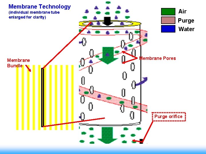 Membrane Technology Air (individual membrane tube enlarged for clarity) Membrane Bundle Purge Water Membrane