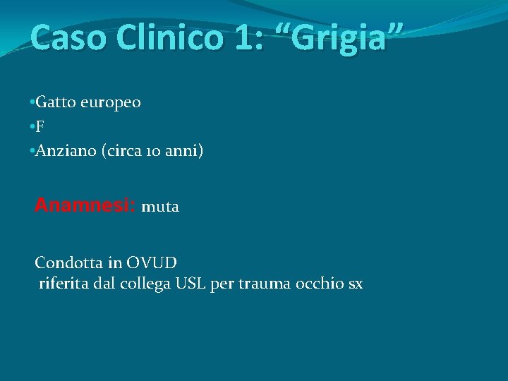 Caso Clinico 1: “Grigia” • Gatto europeo • F • Anziano (circa 10 anni)
