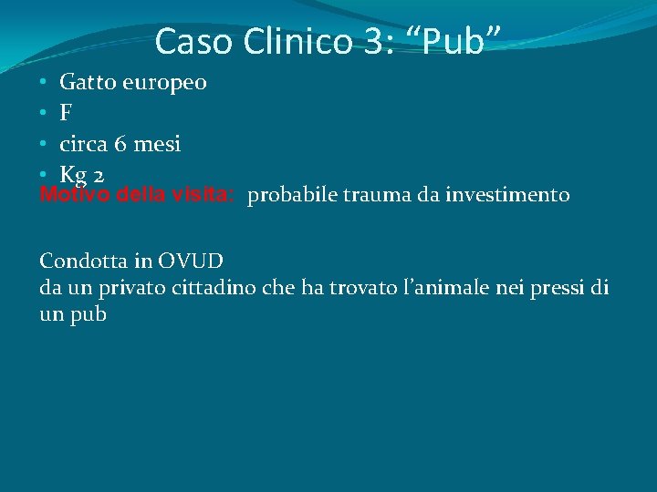 Caso Clinico 3: “Pub” • Gatto europeo • F • circa 6 mesi •