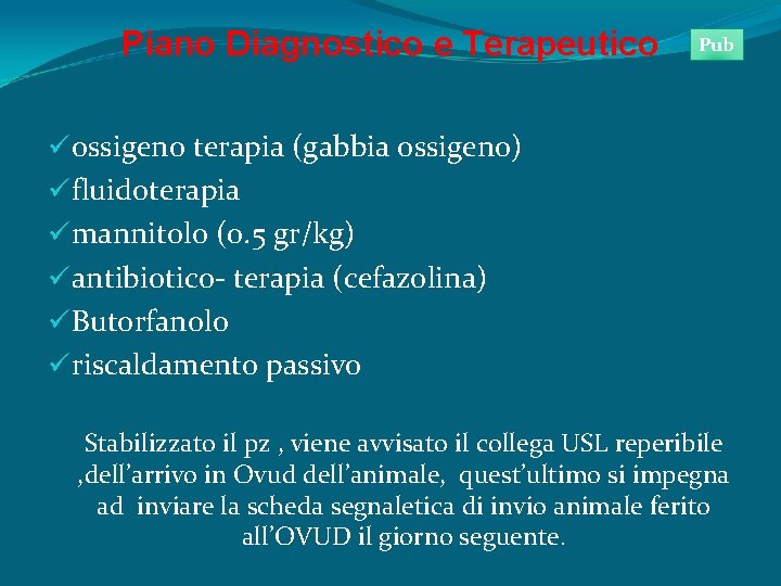 Piano Diagnostico e Terapeutico Pub üossigeno terapia (gabbia ossigeno) üfluidoterapia ümannitolo (0. 5 gr/kg)