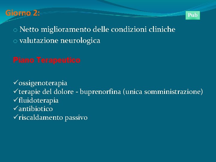 Giorno 2: Pub o Netto miglioramento delle condizioni cliniche o valutazione neurologica Piano Terapeutico