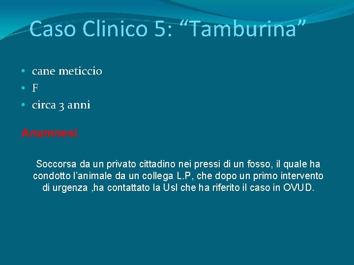 Caso Clinico 5: “Tamburina” • cane meticcio • F • circa 3 anni Anamnesi